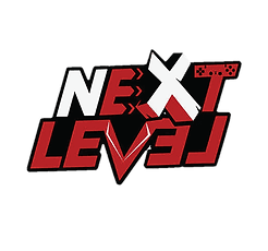 Next Level Group Logo
